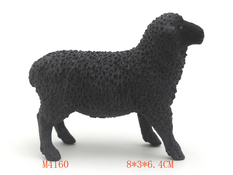 M4160 绵羊